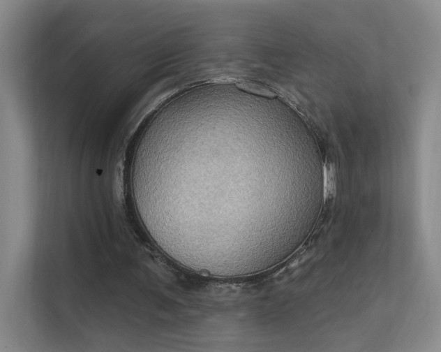 X0000112020291200908101408