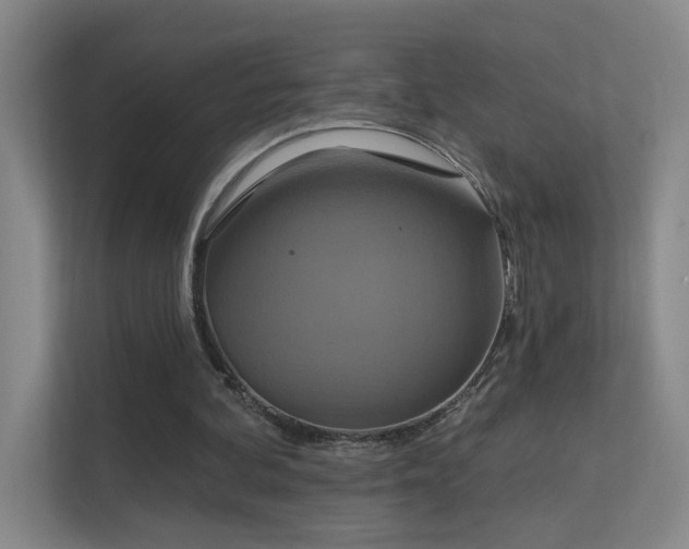 X0000112020292200908101408