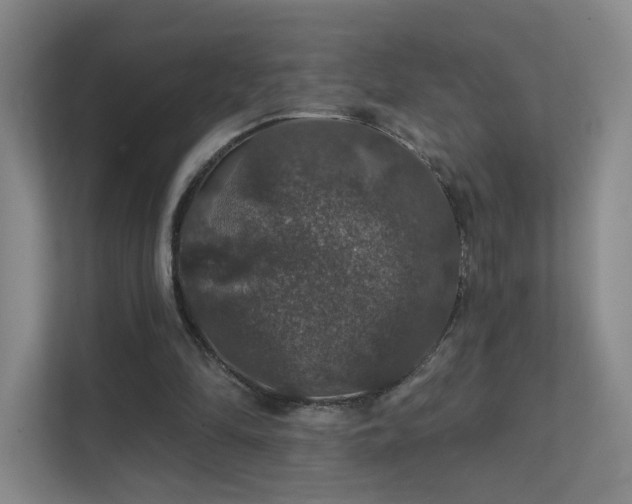 X0000112020294200908101408