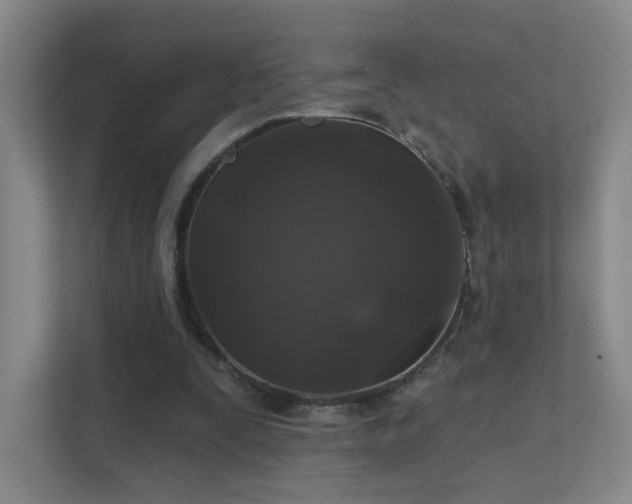 X0000112020295200908101408