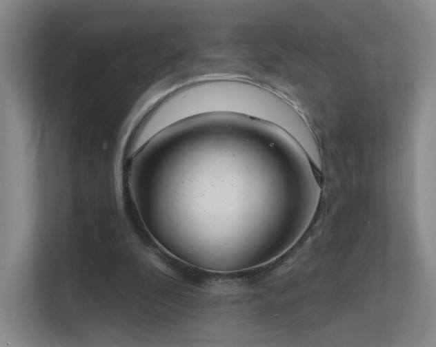 X0000112020296200908101408