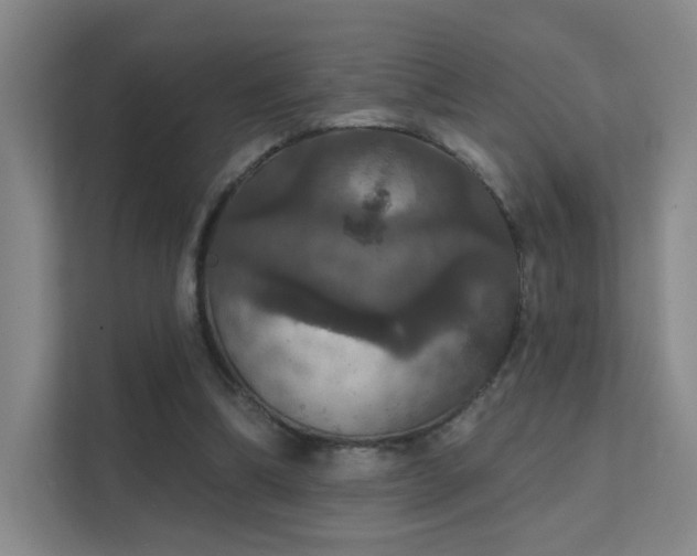 X0000112020298200908101408