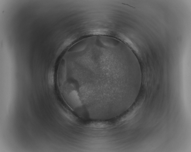 X0000112020299200908101408