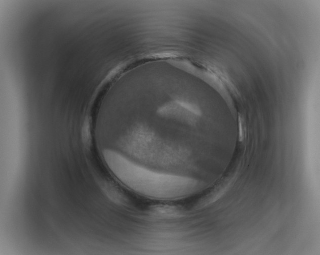 X0000112020300200908101408