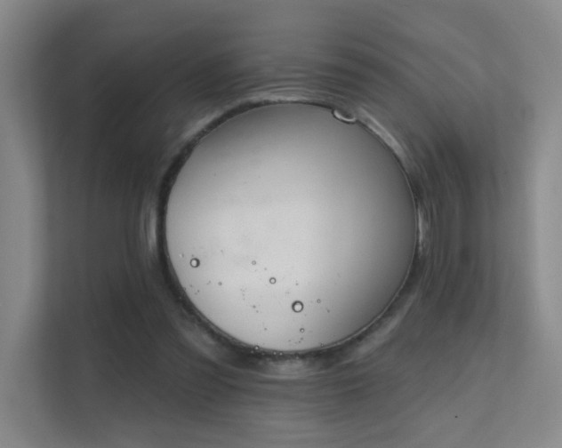 X0000112020301200908101408