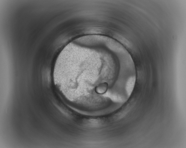 X0000112020302200908101408