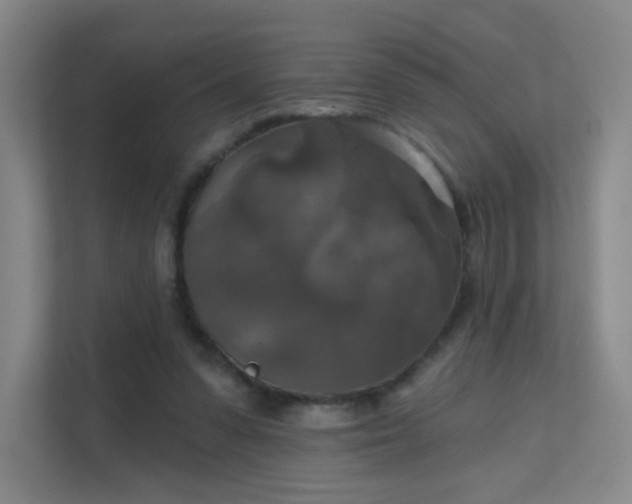 X0000112020303200908101408