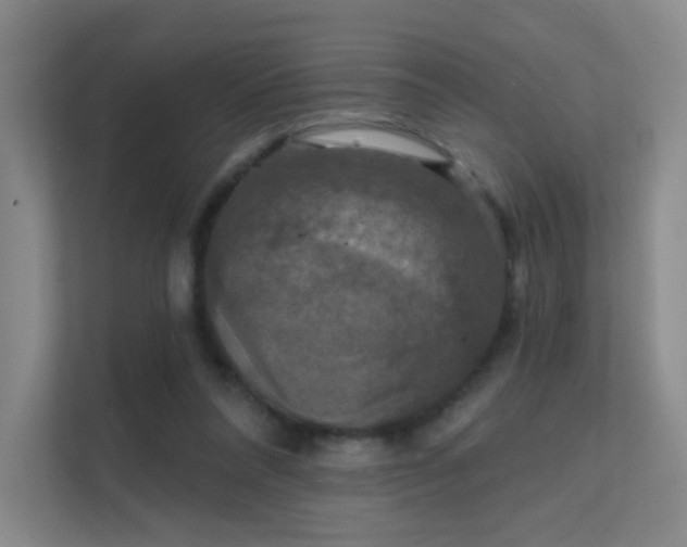 X0000112020304200908101408