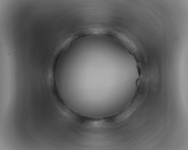 X0000112020306200908101408