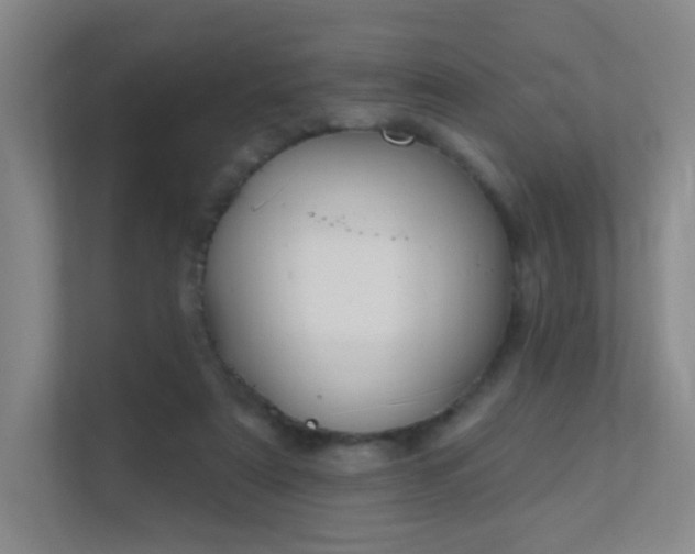 X0000112020307200908101408