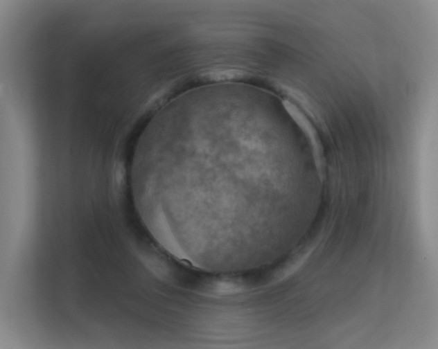 X0000112020308200908101408