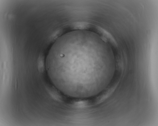 X0000112020312200908101408