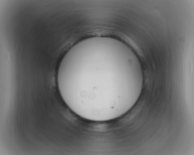 X0000112020313200908101408