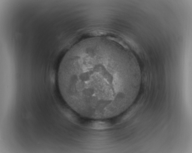 X0000112020315200908101408