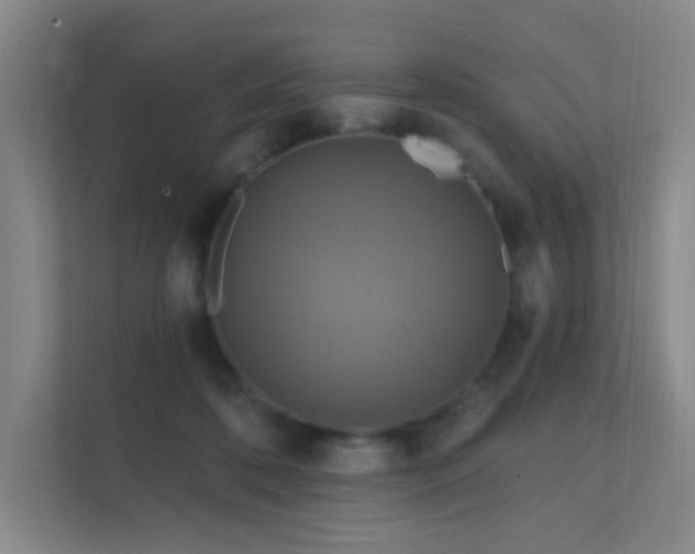 X0000112020316200908101408