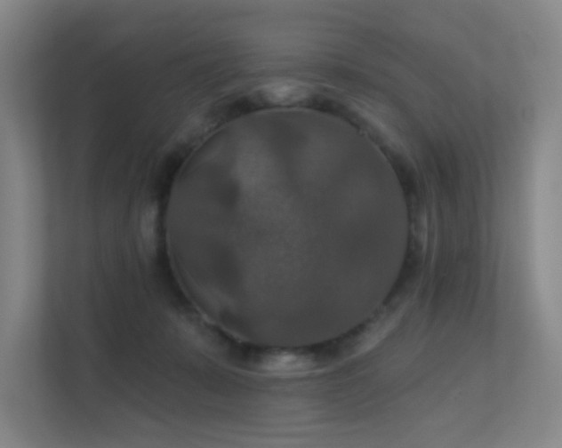 X0000112020319200908101408