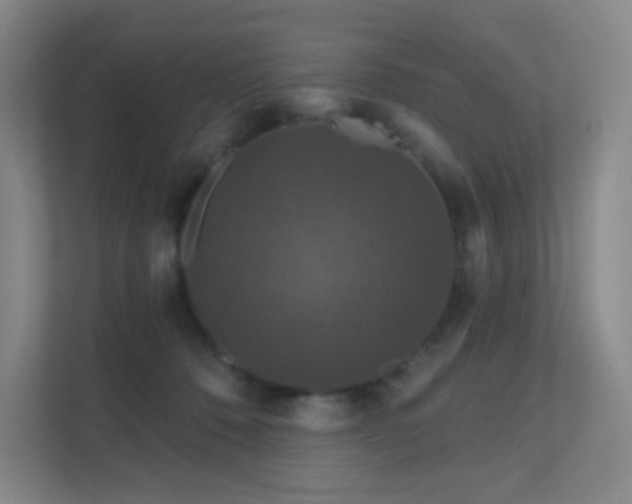 X0000112020320200908101408