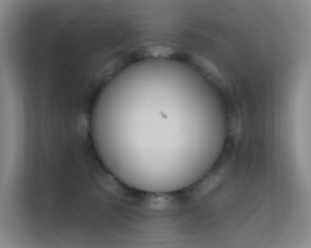 X0000112020321200908101407