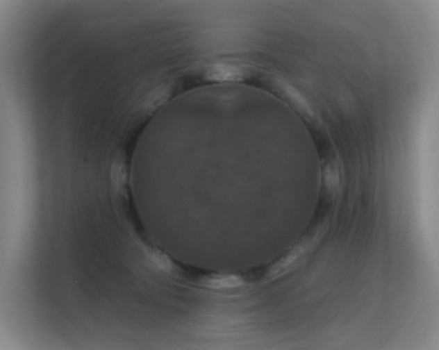 X0000112020322200908101407