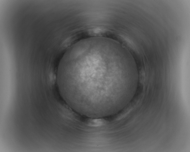 X0000112020324200908101407