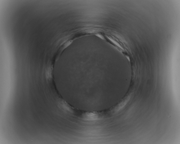 X0000112020325200908101407