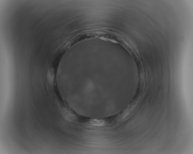 X0000112020328200908101407