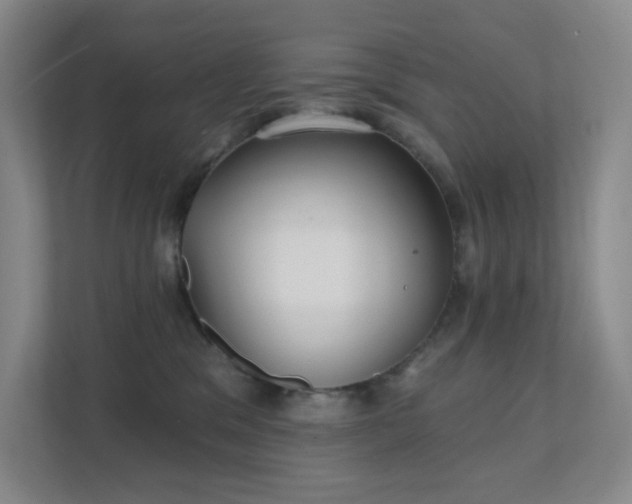 X0000112020329200908101407