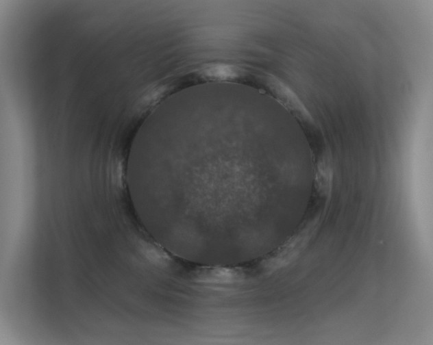 X0000112020330200908101407