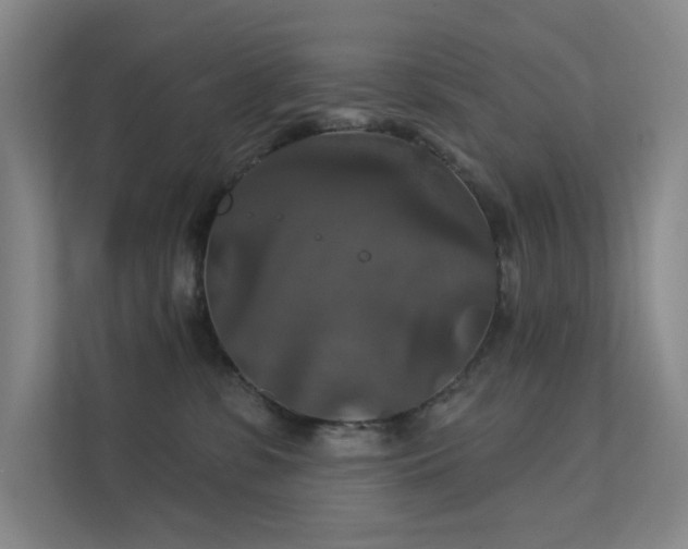 X0000112020331200908101407