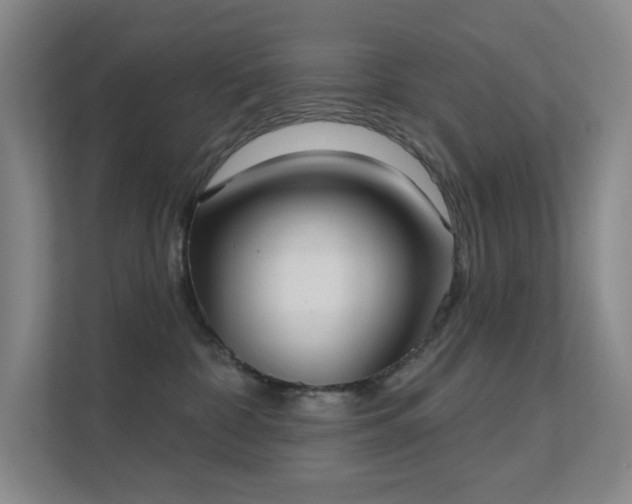 X0000112020332200908101407