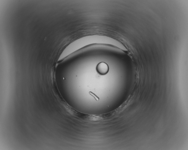 X0000112020333200908101407