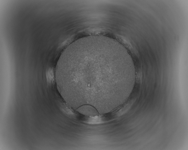 X0000112020335200908101407