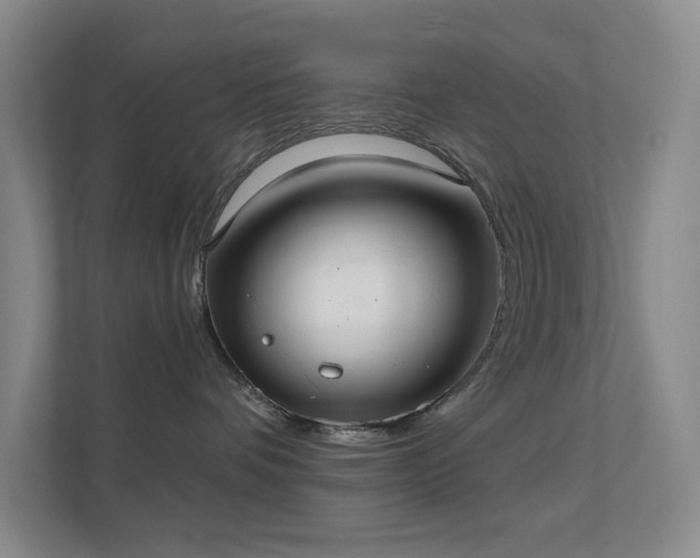 X0000112020336200908101407