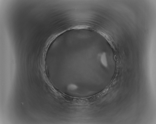 X0000112020337200908101407