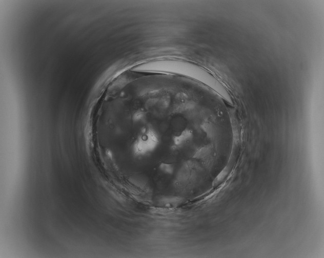 X0000112020339200908101407