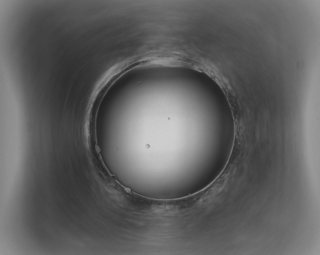 X0000112020340200908101407