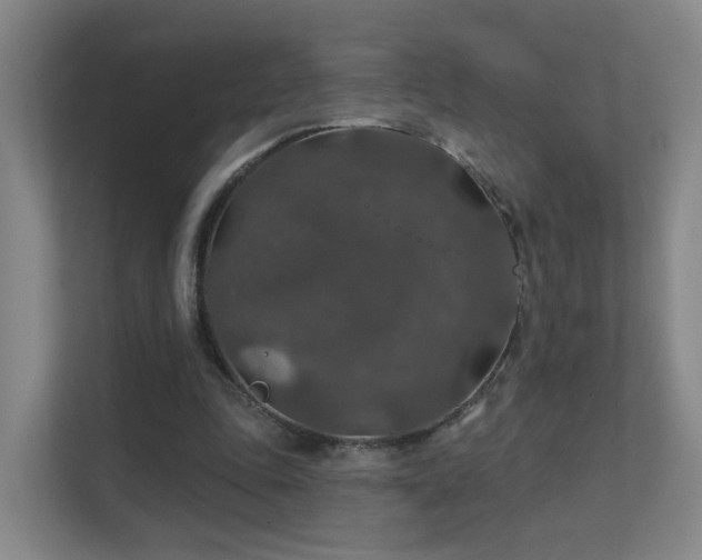 X0000112020343200908101407