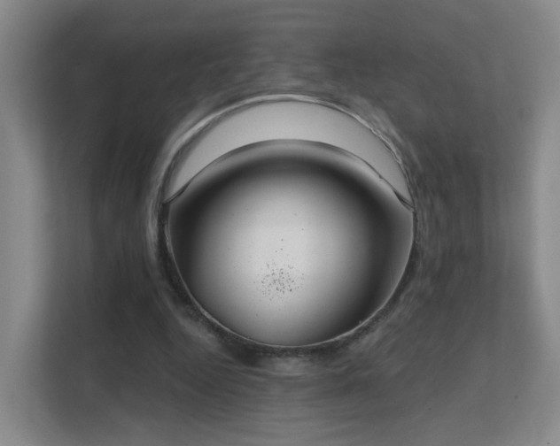 X0000112020344200908101407