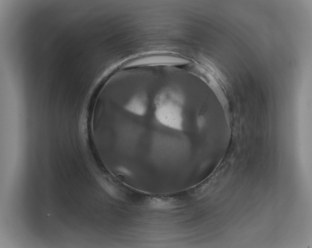 X0000112020346200908101407