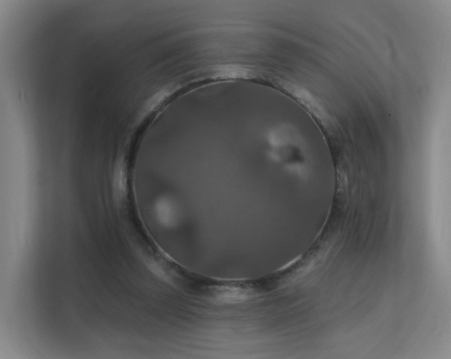 X0000112020347200908101407