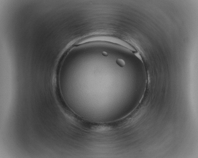 X0000112020348200908101407