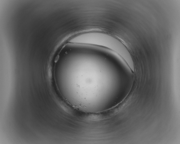 X0000112020350200908101407