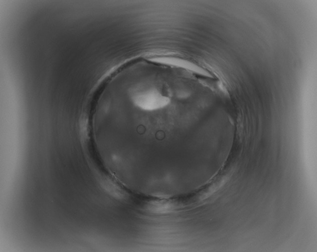 X0000112020351200908101407