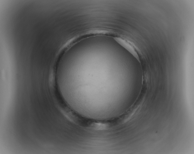 X0000112020352200908101407