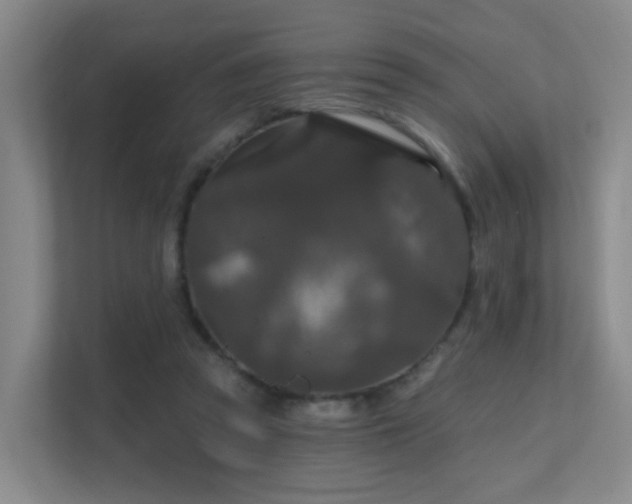 X0000112020353200908101407