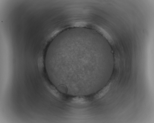 X0000112020354200908101407