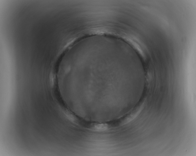 X0000112020355200908101407