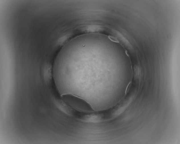 X0000112020356200908101407