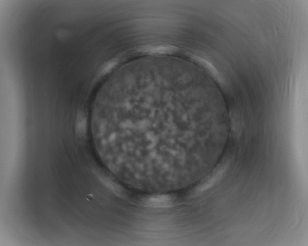 X0000112020357200908101407