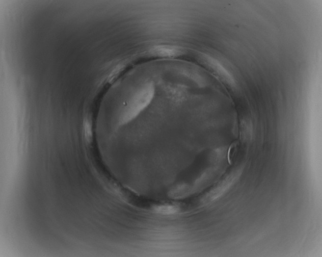 X0000112020358200908101407